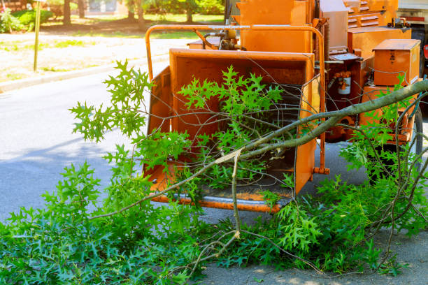 Best Weed Control  in Randolph, WI