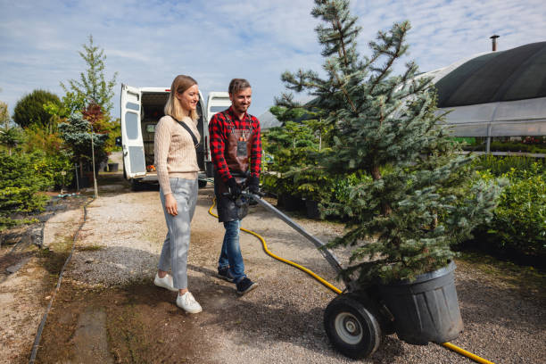 Best Tree Cabling and Bracing  in Randolph, WI